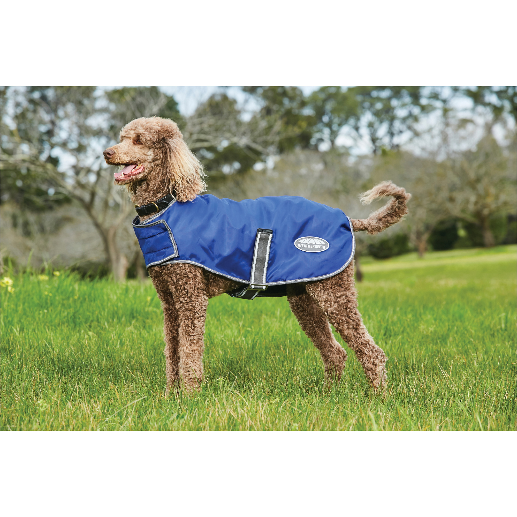 Weatherbeeta Comfitec Windbreaker Free Dog Coat - Dark Blue